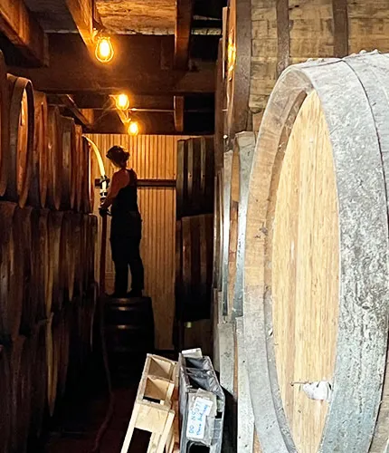 배럴 지하실에서 일하는 여자' title='지하실 사람에 대한 동정심