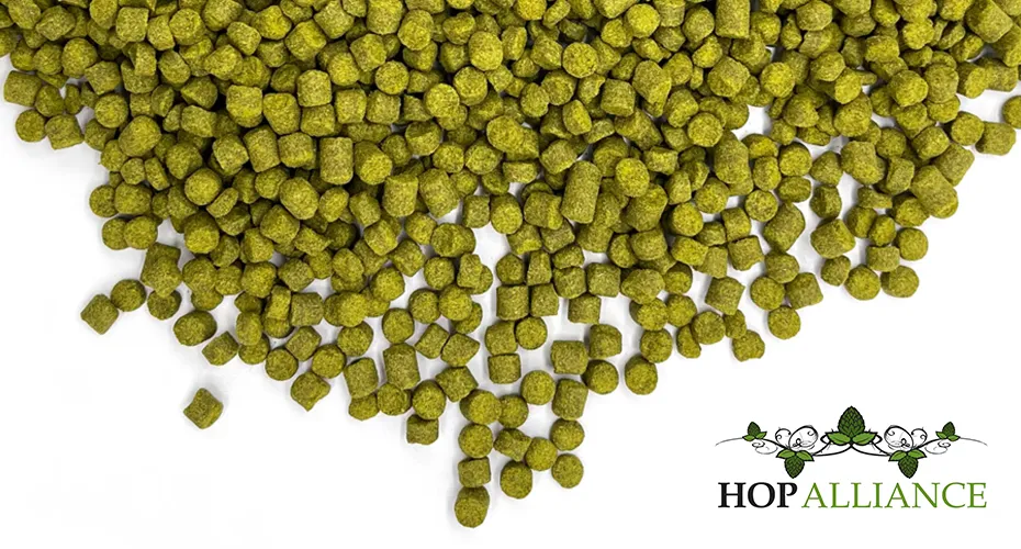komlószövetség pellet komló' title='Az új nemesek: Michigan Hops