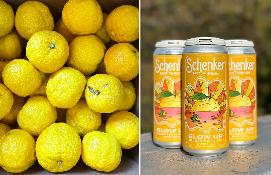 doppia immagine del frutto yuzu e della berliner weisse' title='Sole di agrumi nel freddo inverno
