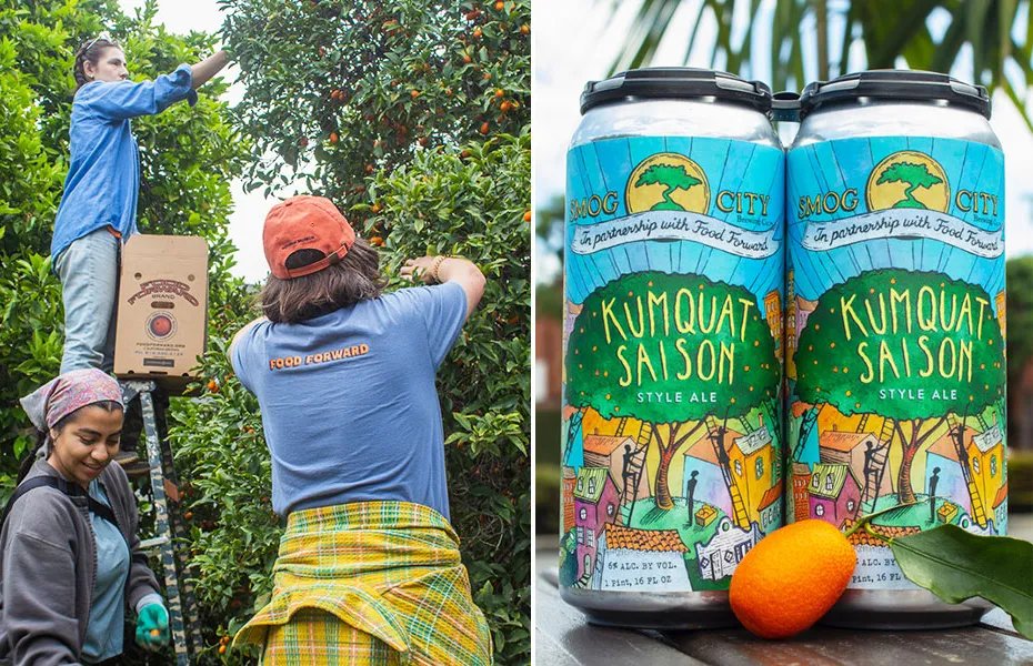 doppia immagine di donne che raccolgono kumquat e kumquat saison in lattina' title='Sole di agrumi nel freddo inverno