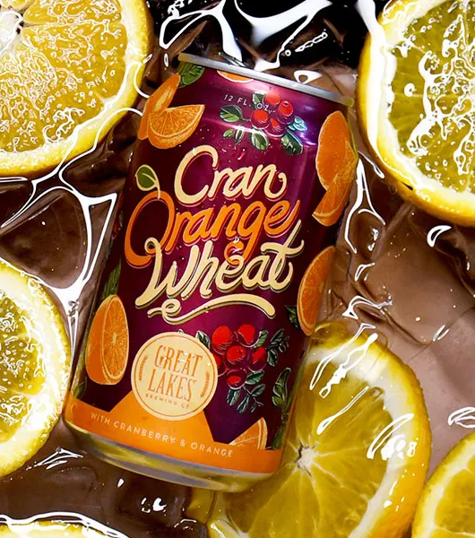 birra di frumento cran arancione con arance e sfondo di ghiaccio' title='Sole di agrumi nel freddo inverno