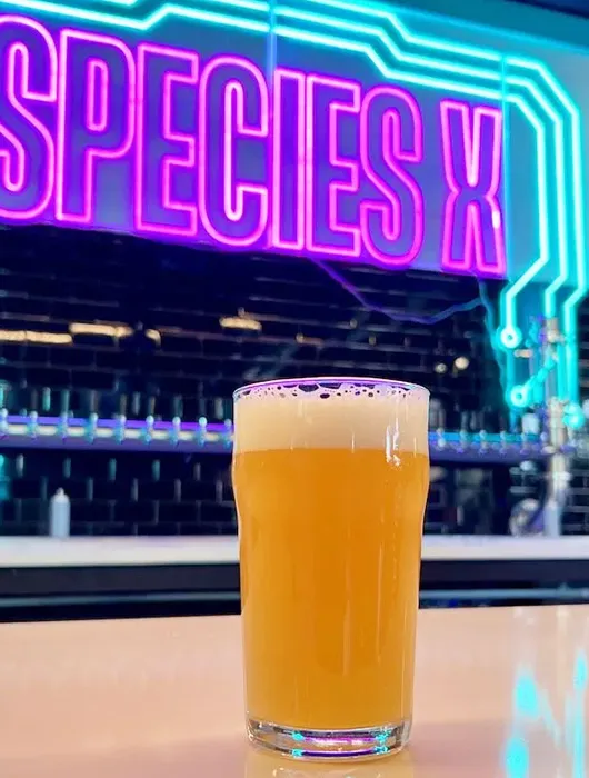 Spezies x Leuchtreklame mit dunstigem Bier' title='Wie KI das Bier verändert
