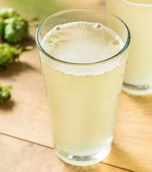 Nieuwe hoop voor hop' title='Nieuwe hoop voor hop