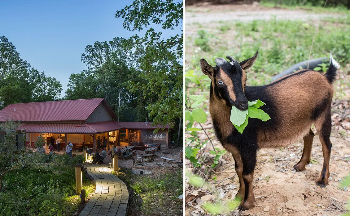 Vijf unieke plekken om een ​​biertje te drinken' title='Vijf unieke plekken om een ​​biertje te drinken