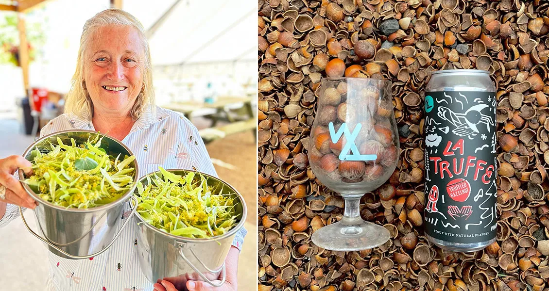 vrouw die gevoederde ingrediënten en hazelnootbier verwerkt' title='Op zoek naar de wildste ingrediënten van bier