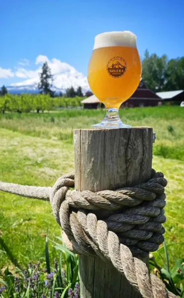wazig bier op hekpaal' title='Leef en brouw in een kleine stad
