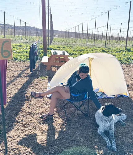 A kemping a sörfőzdéknél található' title='A kemping a sörfőzdéknél található