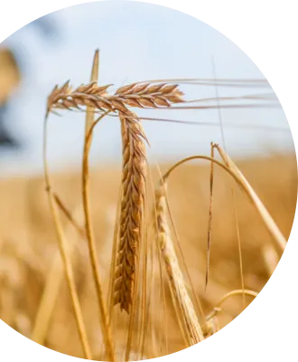 Misszió' title='Misszió