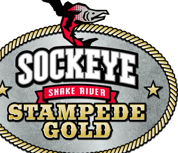 Sockeye Brewing에서 스탬피드 골드를 선보입니다.