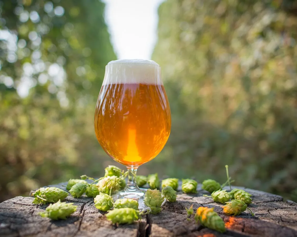 IPA nap' title='Hogyan vehet részt