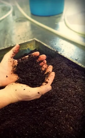 コーヒー' title='Epic Brewing の Big Bad Baptist が 10 月 1 日にリリース