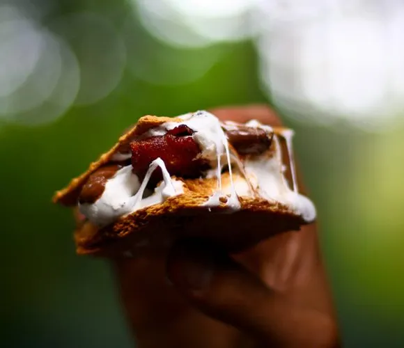 Stout-infunderet skumfidus